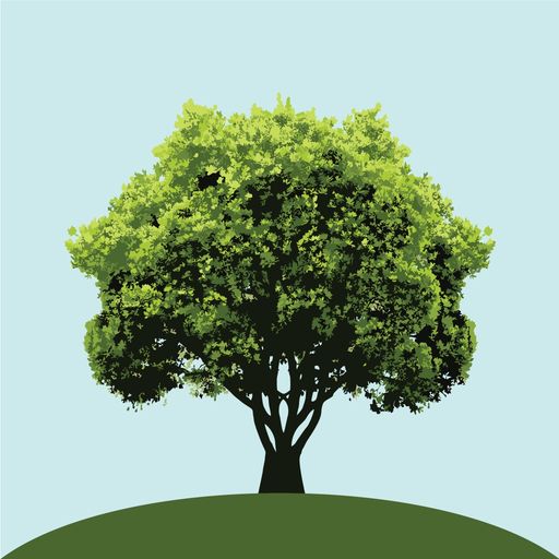 Ysgol Tanyfron, Wrexham app icon