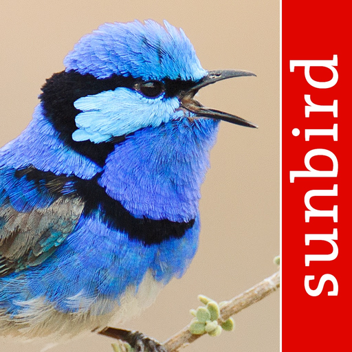 Bird Song Id Australia - Automatic Recognition app icon