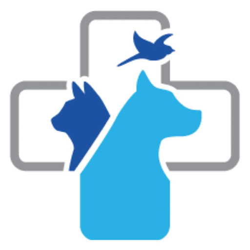 V2P Roxy app icon