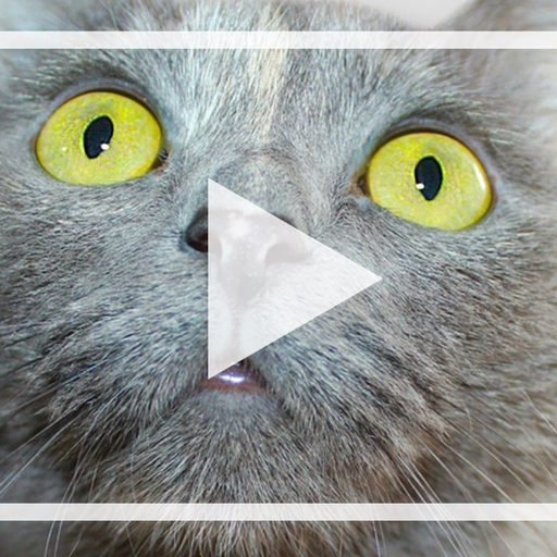 Slideshow Karaoke: The Presentation Improv Game app icon