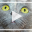 Slideshow Karaoke: The Presentation Improv Game icon