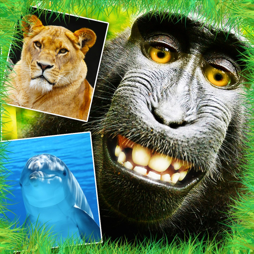 Animals - Cute Animal Wallpapers & Wild Life Backgrounds app icon