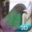 Pigeon Simulator icon