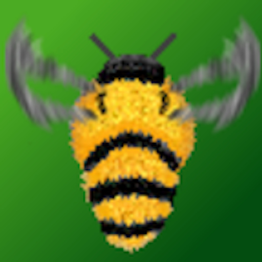 Remember Bee app icon