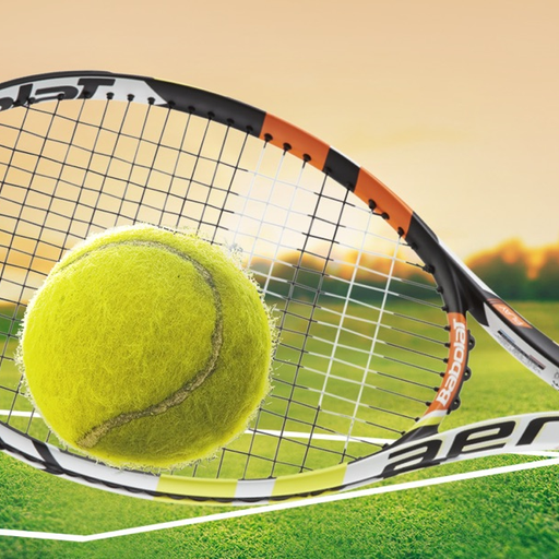 Tennis Pro Tournament app icon