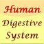 Human Digestive System Guide icon