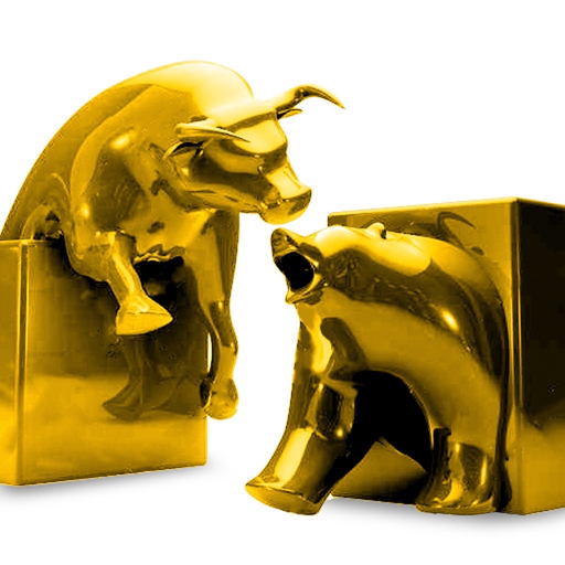Nepal Stock Watch app icon
