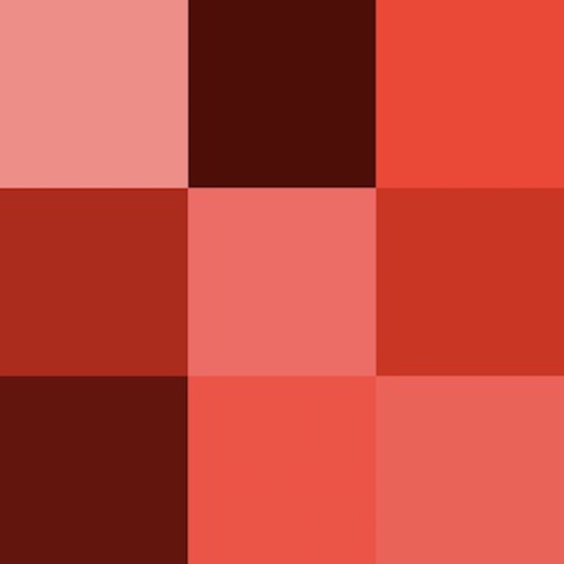 Spot The Different Color app icon