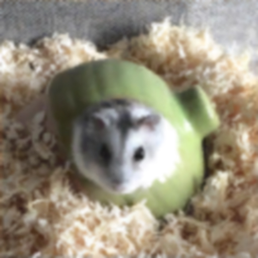 Hamster Slider Puzzle app icon