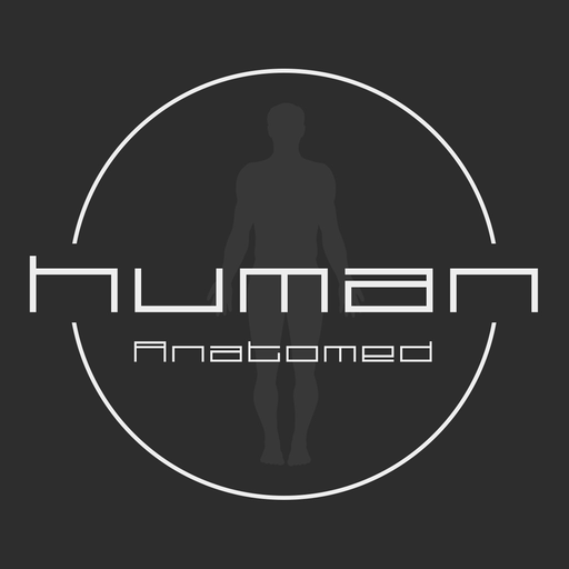 Human Anatomed app icon