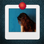 Find Differences - Quickly icon