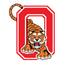 Ozark School District icon
