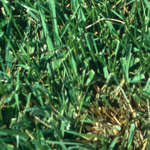 Turf MD app icon