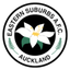 ESAFC icon