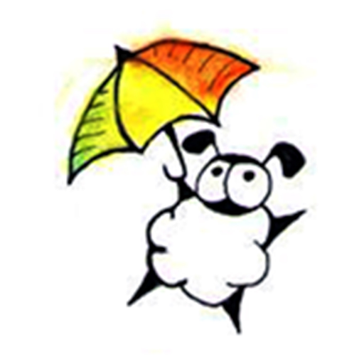 Norah Match Game app icon