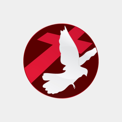 SBN NOW app icon