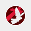 SBN NOW icon