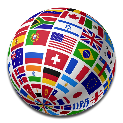 Translator Professional app icon
