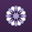 SocialFlow icon