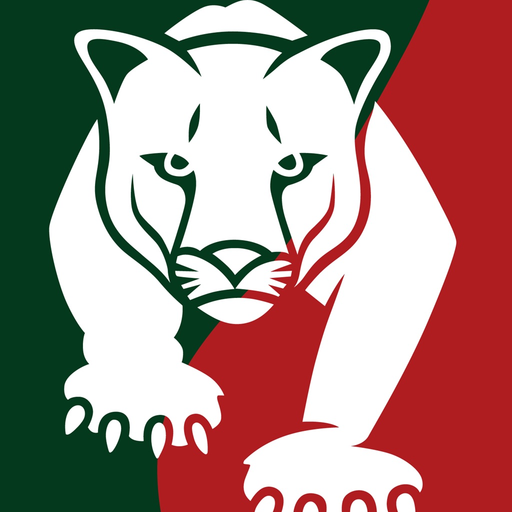 Regents Park FC app icon