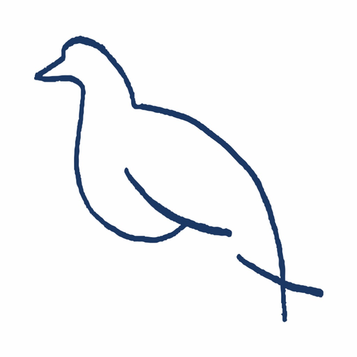 SCA Skog DUVA app icon