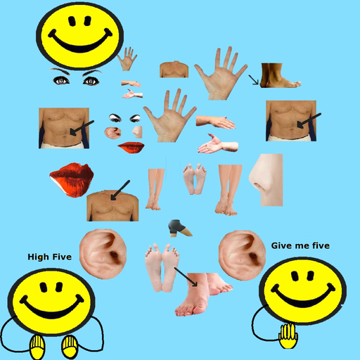Body Parts - Middle and Asia app icon