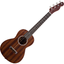 Ukulele Tuner Simple icon