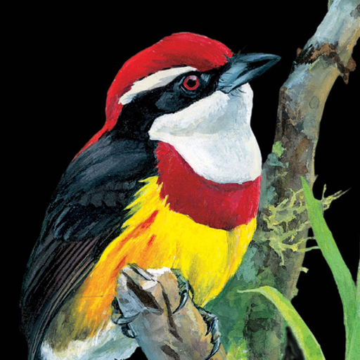 Birds of Peru app icon