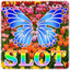 SUPER 8LINES BUTTERFLY icon