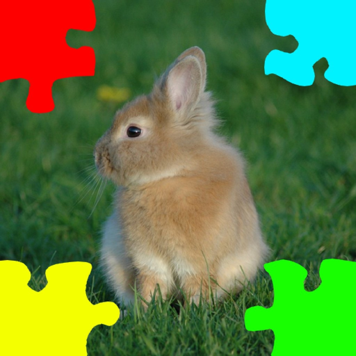 Baby Rabbits Jigsaw Puzzles app icon