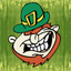 Flannigan's Irish Pub icon
