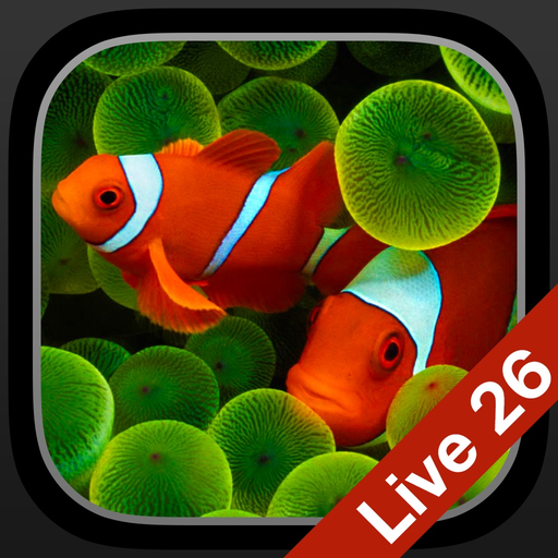 Aquarium Dynamic Wallpapers app icon