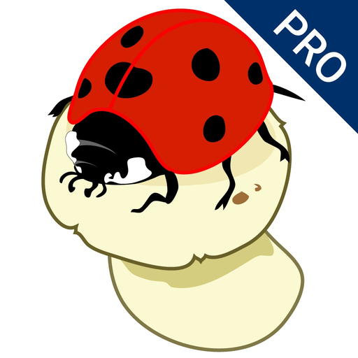 AboutNumbers PRO app icon