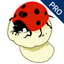 AboutNumbers PRO icon