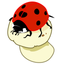 AboutNumbers icon