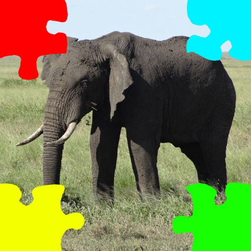 Elephants Jigsaw Puzzles with Photo Puzzle Maker app icon