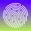 FP Safe icon