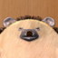 Super Belly Rub: Hedgehog Massage Parlor icon