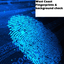 Westcoast fingerprints icon