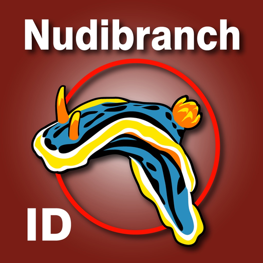 Nudibranch ID Indian Ocean app icon