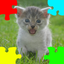 Kitten Jigsaw Puzzles icon