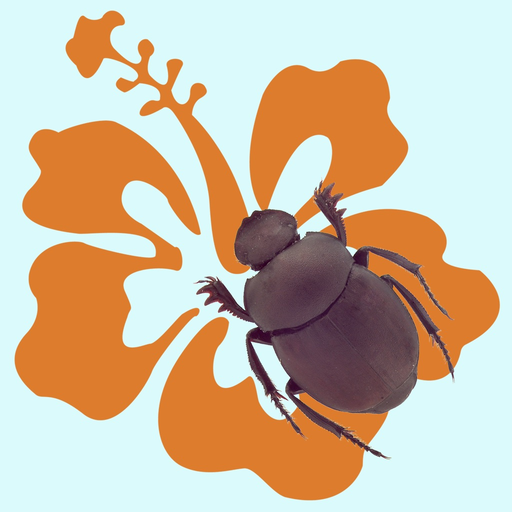 Hawaiian Scarab ID app icon