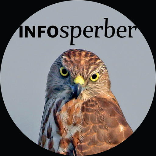 Infosperber app icon