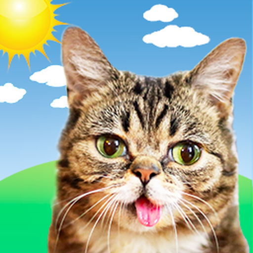 Lil BUB Cat Weather Report app icon