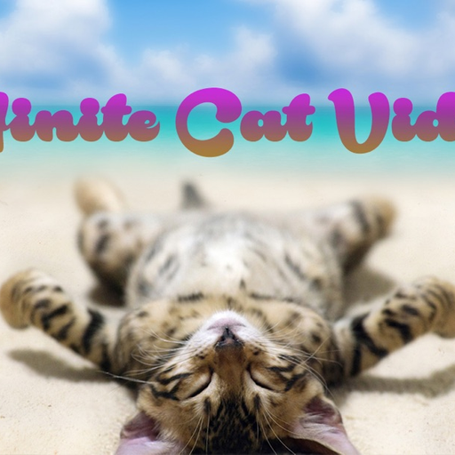 Infinite Cat Videos — Funny Internet Clips app icon