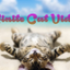 Infinite Cat Videos — Funny Internet Clips icon