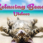 Relaxing Beach Videos — The best internet videos icon