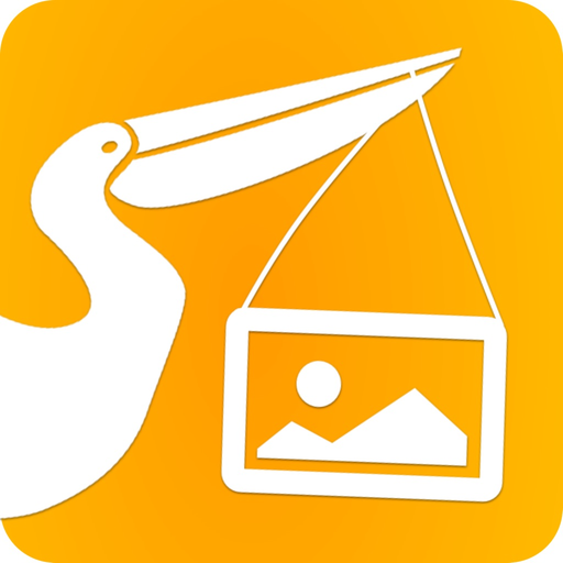 Pelipost - Photos to Prison app icon