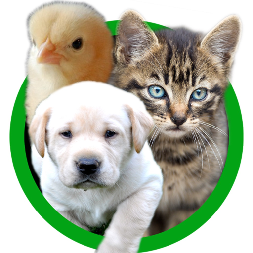 Baby Animal Sounds for Kids and Toddlers app icon