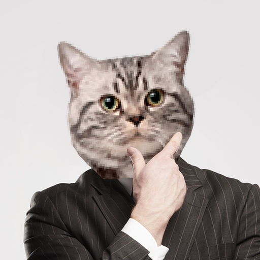 Cat face stickers filters app icon